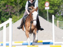 IMG_0669_web
